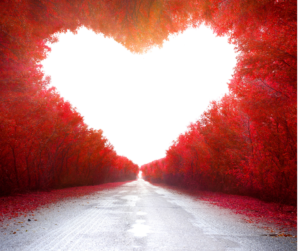treelined road with leaves that are the colour red and fashioned into a heart as a visual representation of self-empowerment